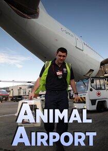 Animal Airport - Season 3