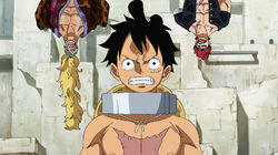 Luffy's Determination! Win Through the Sumo Inferno!