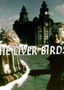 The Liver Birds