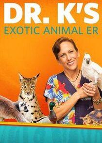 Dr. K's Exotic Animal ER: Gloves Off!