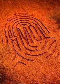 De Mol - Season 11