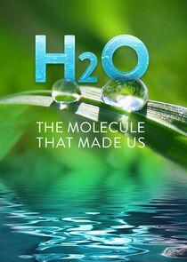 H2O: The Molecule That Made Us