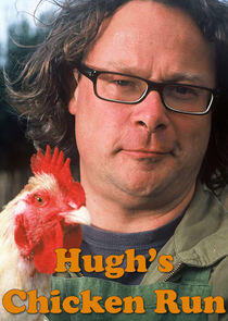 Hugh's Chicken Run