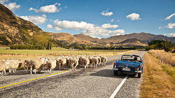 New Zealand - Southern South Island