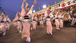 Awa Odori Festival: Spirited Away in Tokushima