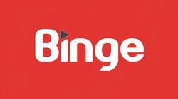 logo of Binge