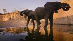 Tsavo, Kenya