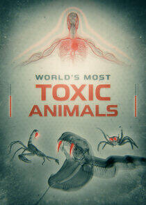 World's Most Toxic Animals