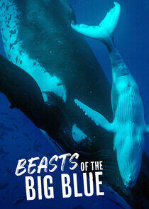 Beasts of the Big Blue