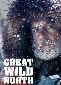 Great Wild North