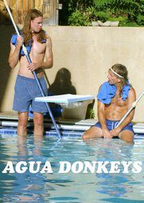 Agua Donkeys - Season 1