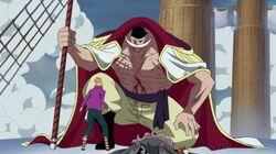 Akainu's Plot! Whitebeard Trapped!