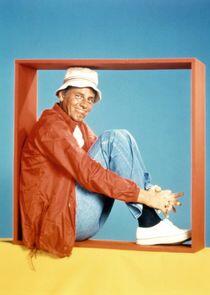 The McLean Stevenson Show