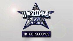 The 25th Anniversary of WrestleMania