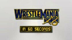 WrestleMania X8