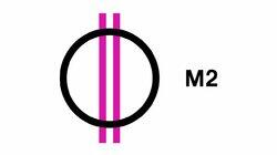 logo of M2