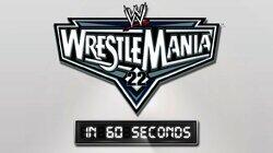 WrestleMania 22