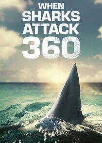 When Sharks Attack 360