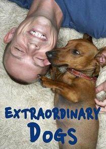 Extraordinary Dogs