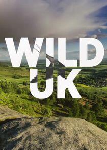 Wild UK