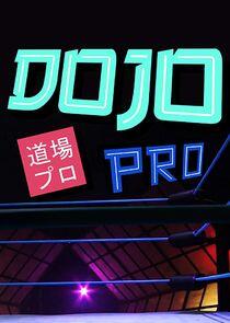 Dojo Pro