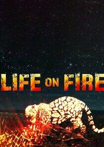 Life on Fire