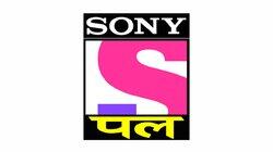 logo of Sony PAL