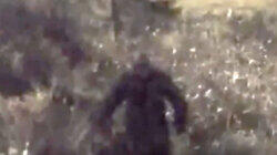 GoPro Captures Bigfoot in Ontario and More