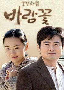 TV Novel: Wind Flower