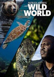 Patrick Aryee's Wild World