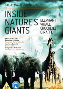 Inside Nature's Giants