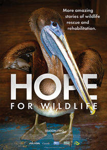 Hope for Wildlife - Season 2