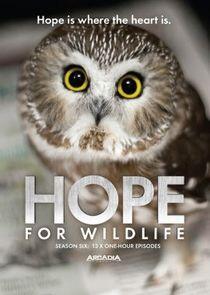 Hope for Wildlife - Season 6