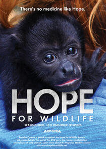 Hope for Wildlife - Season 4