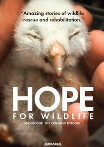 Hope for Wildlife - Season 1