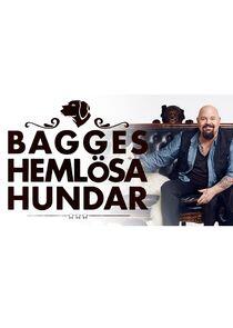 Bagges hemlösa hundar