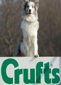 Crufts