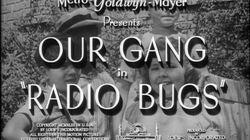 Radio Bugs