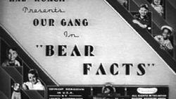 Bear Facts