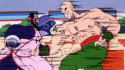 Tien Shinhan vs. Mercenary Tao Tien Shinhan vs. Mercenary Tao