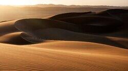 Namib: Skeleton Coast and Beyond