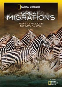 Great Migrations