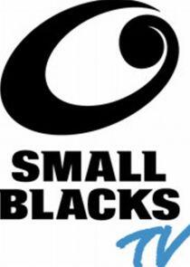 Small Blacks TV