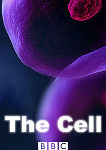 The Cell