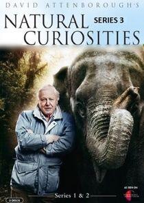 David Attenborough's Natural Curiosities - Season 3