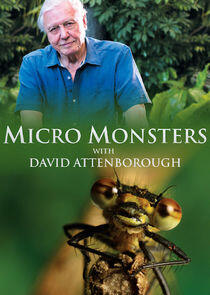 Micro Monsters with David Attenborough - Season 1