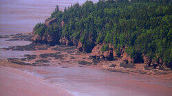 Bay of Fundy, New Brunswick