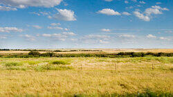 Saskatchewan Prairie