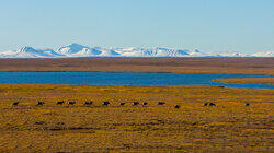 Dempster Highway North