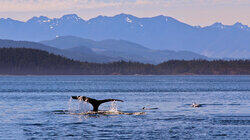 Vancouver Island North